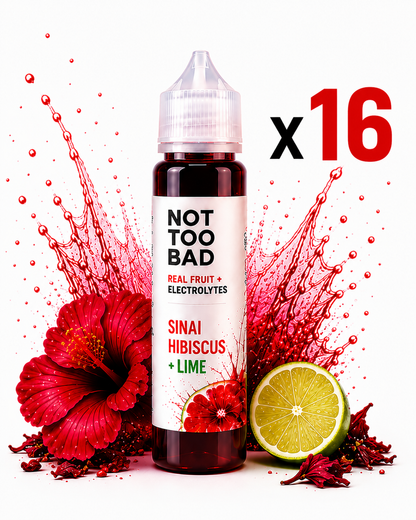 Sinai Hibiscus + Lime Electrolyte Shot